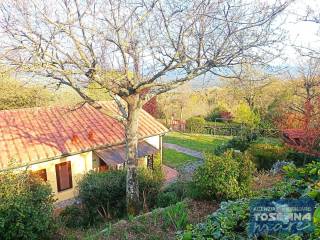 Villa bifamiliare in vendita a monteverdi marittimo 