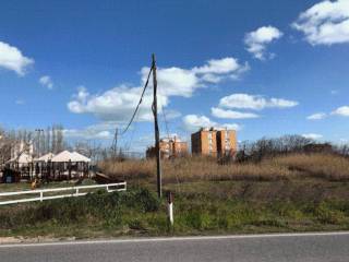 Terreno agricolo all'asta a fano ss16