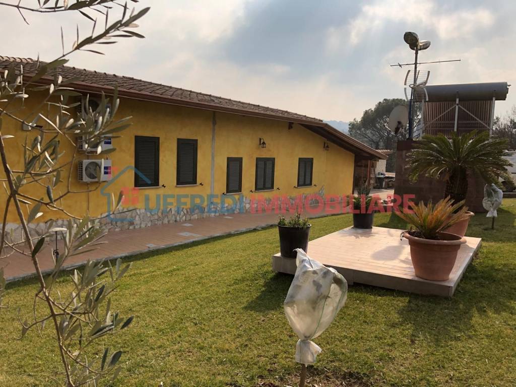 immagine annuncio 10 di 15