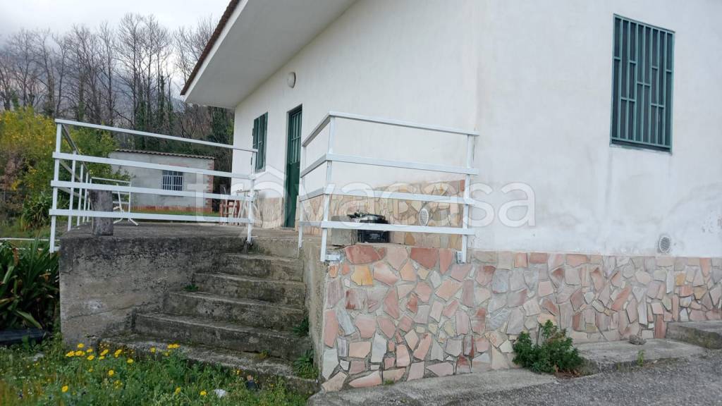 immagine annuncio 5 di 8