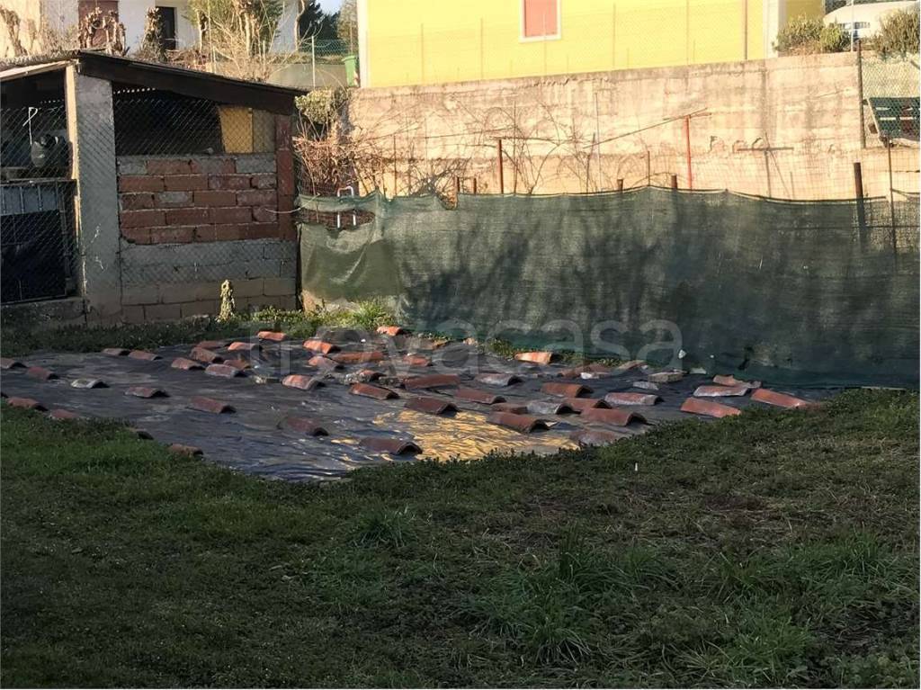 immagine annuncio 4 di 14