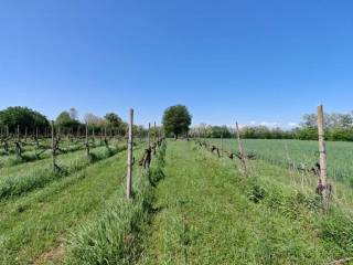 Terreno agricolo in vendita a quinto di treviso via lazzaretto