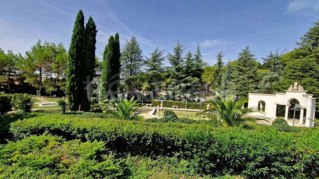immagine annuncio 6 di 8