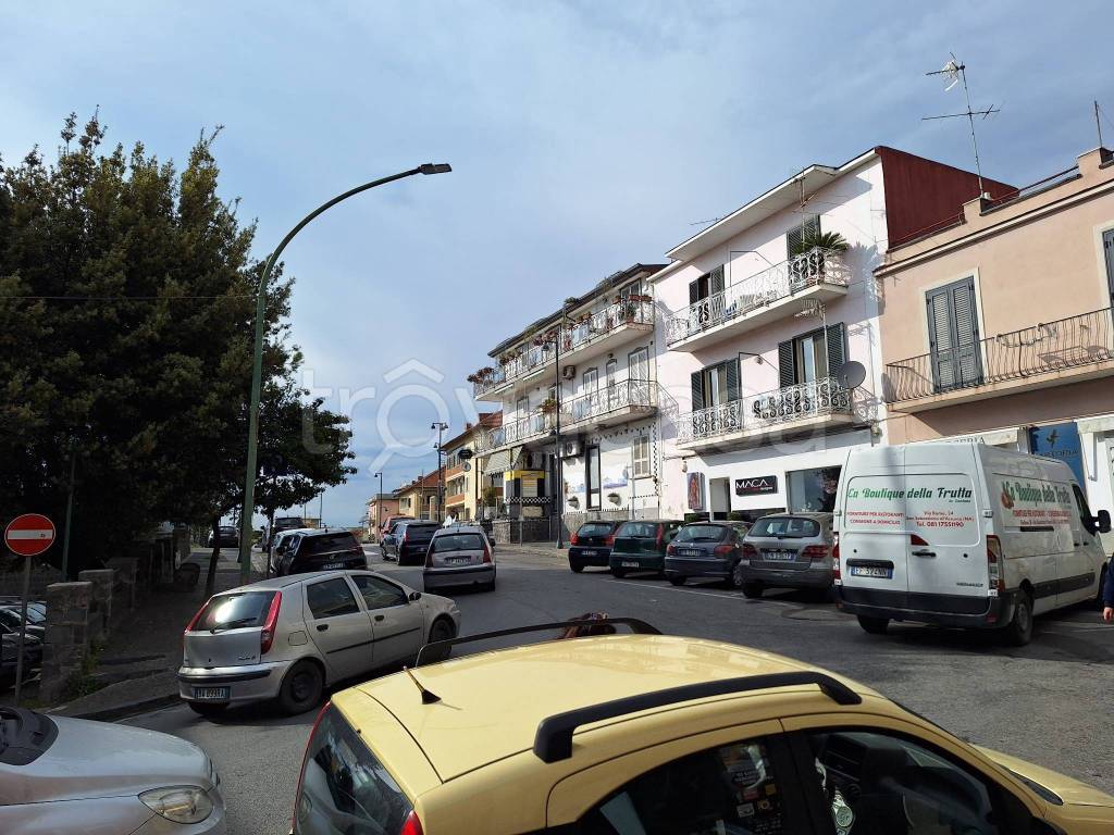 immagine annuncio 5 di 9