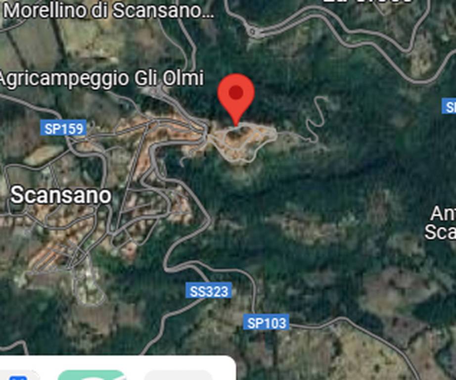immagine annuncio 3 di 11