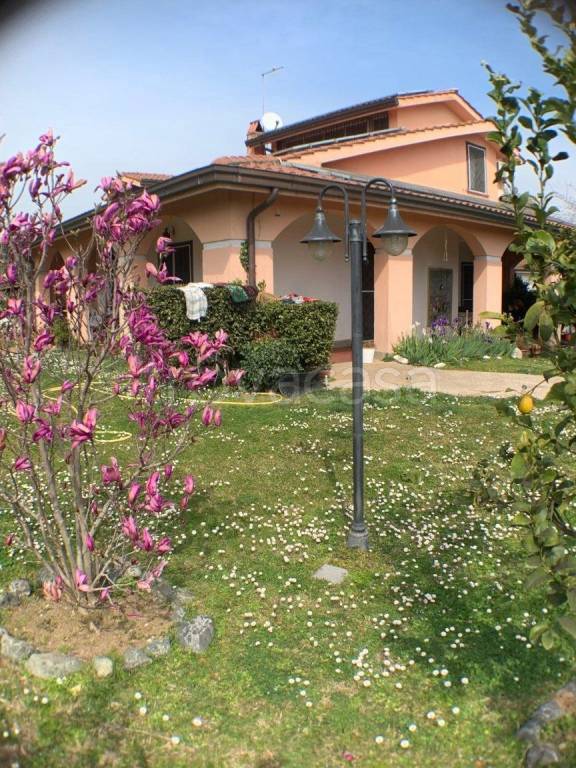 immagine annuncio 11 di 15