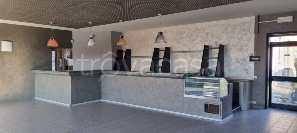 immagine annuncio 5 di 14