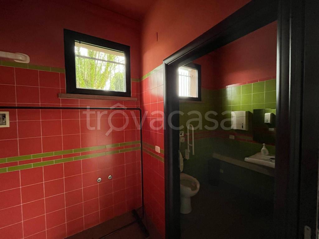 immagine annuncio 3 di 14