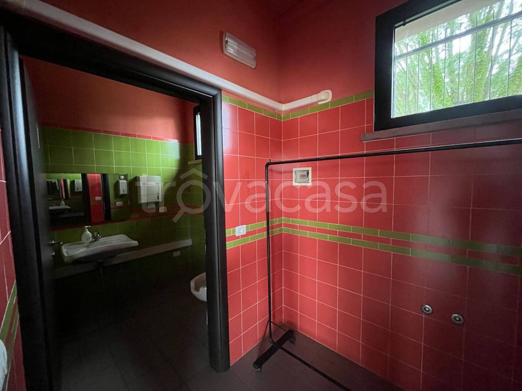 immagine annuncio 4 di 14