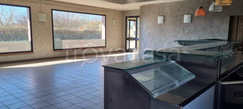 immagine annuncio 6 di 14