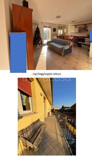 immagine annuncio 5 di 12