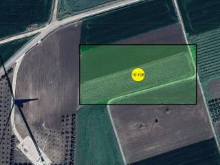 Terreno agricolo all'asta a san paolo di civitate sp36