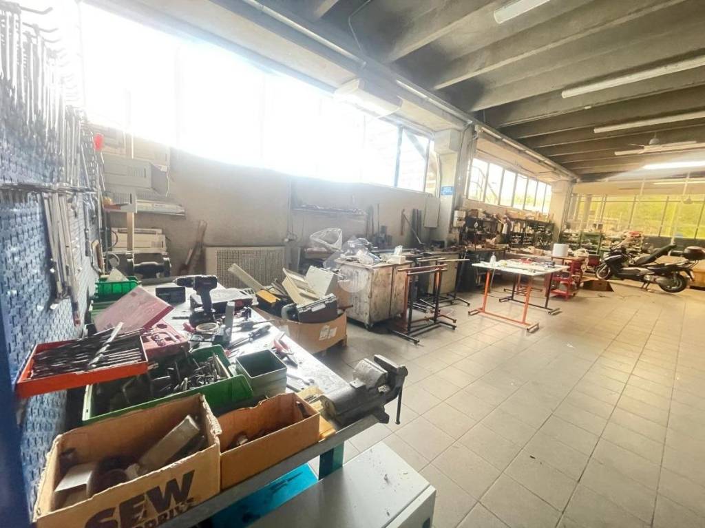 immagine annuncio 10 di 15