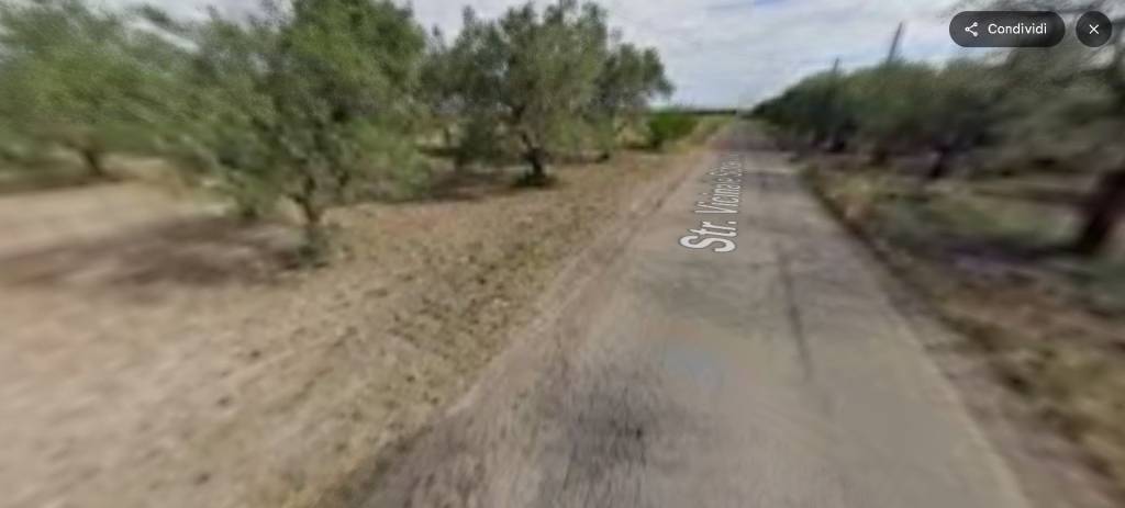 immagine annuncio 4 di 12