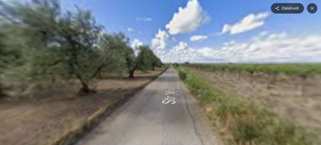 immagine annuncio 9 di 12