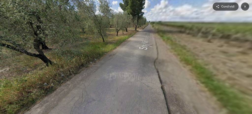 immagine annuncio 10 di 12