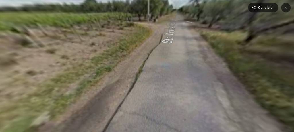 immagine annuncio 11 di 12