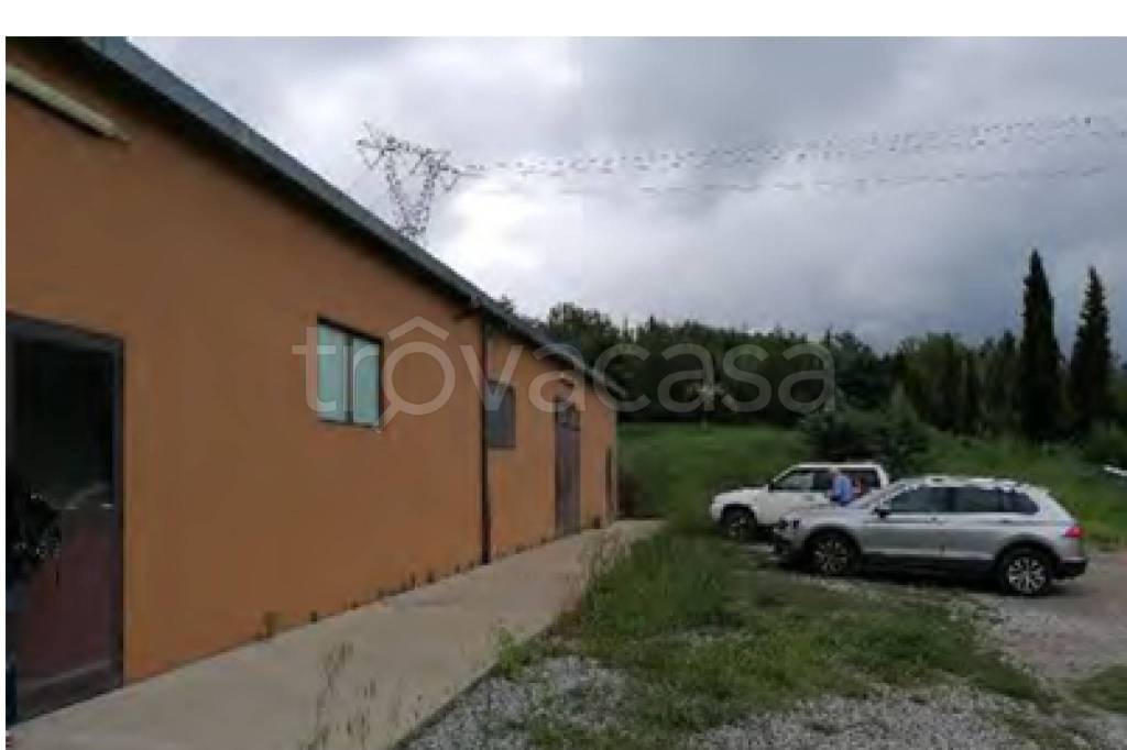 immagine annuncio 10 di 12