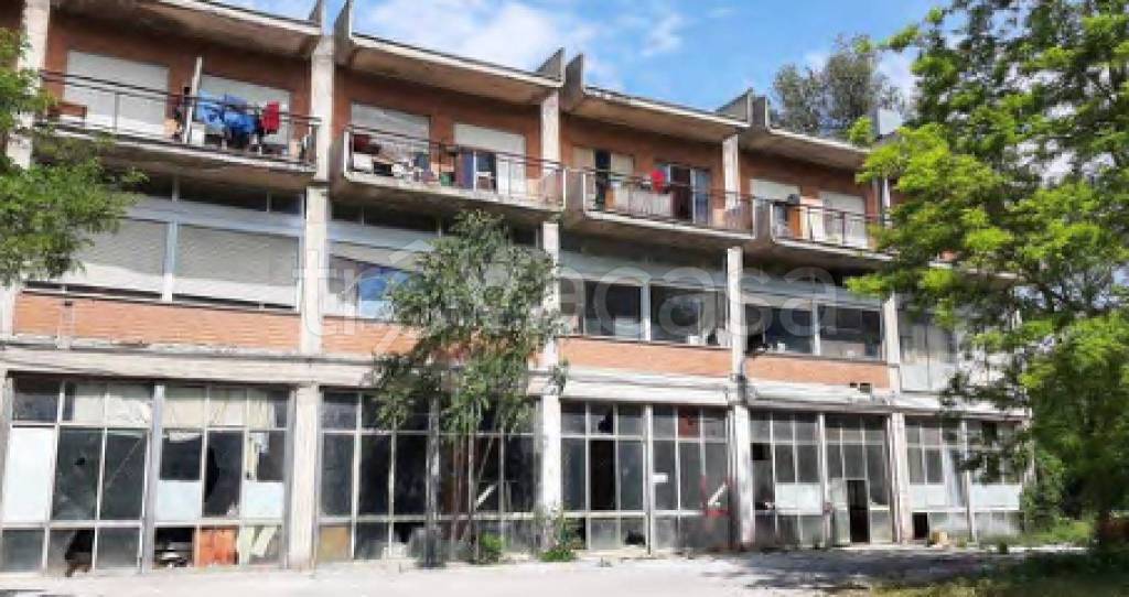 immagine annuncio 2 di 12