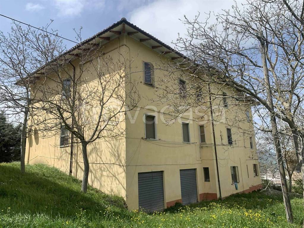 immagine annuncio 2 di 6