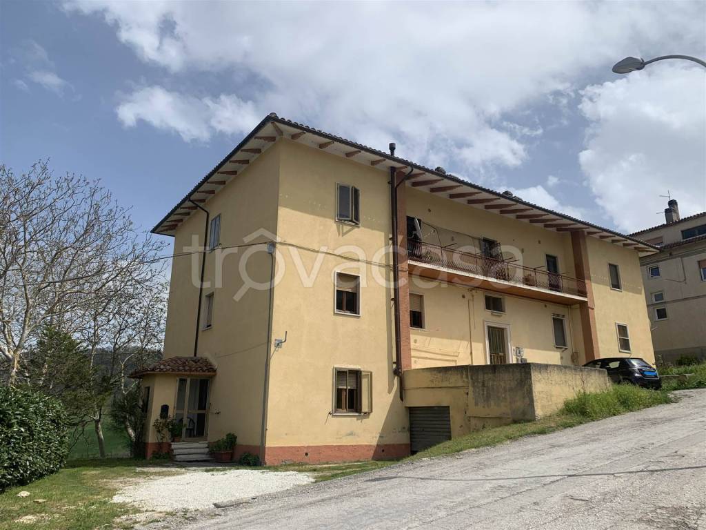 immagine annuncio 4 di 6