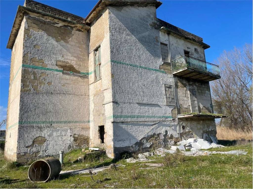 immagine annuncio 1 di 14