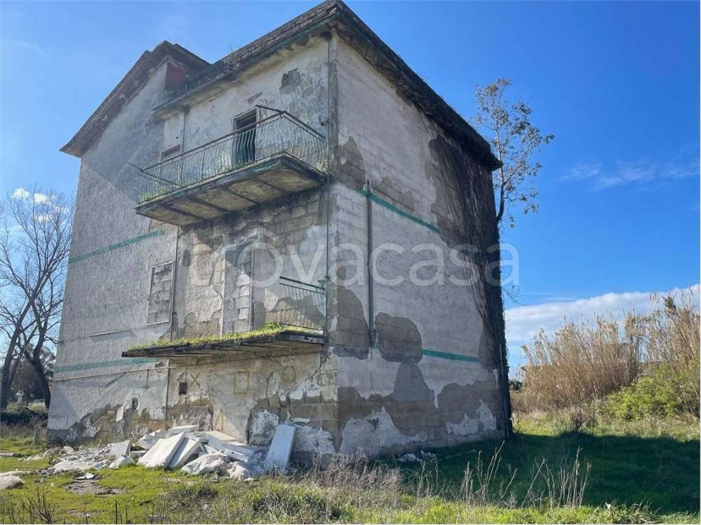 immagine annuncio 4 di 14