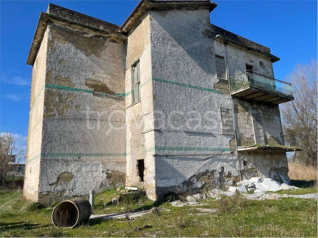 immagine annuncio 5 di 14