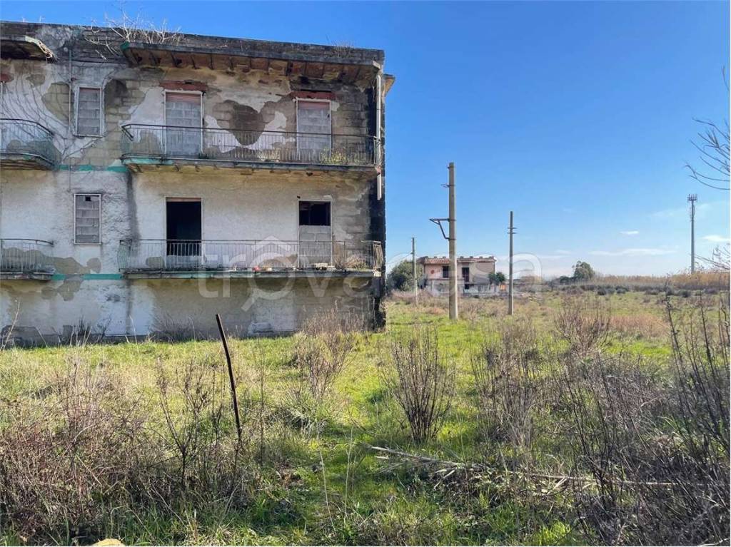 immagine annuncio 6 di 14