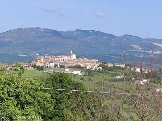 Rustico in in affitto da privato a busso via trieste, 21
