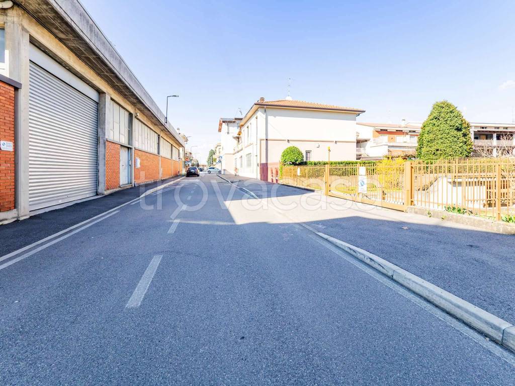 immagine annuncio 12 di 15