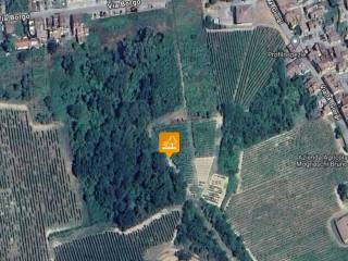 Terreno agricolo all'asta a cigognola via borgo