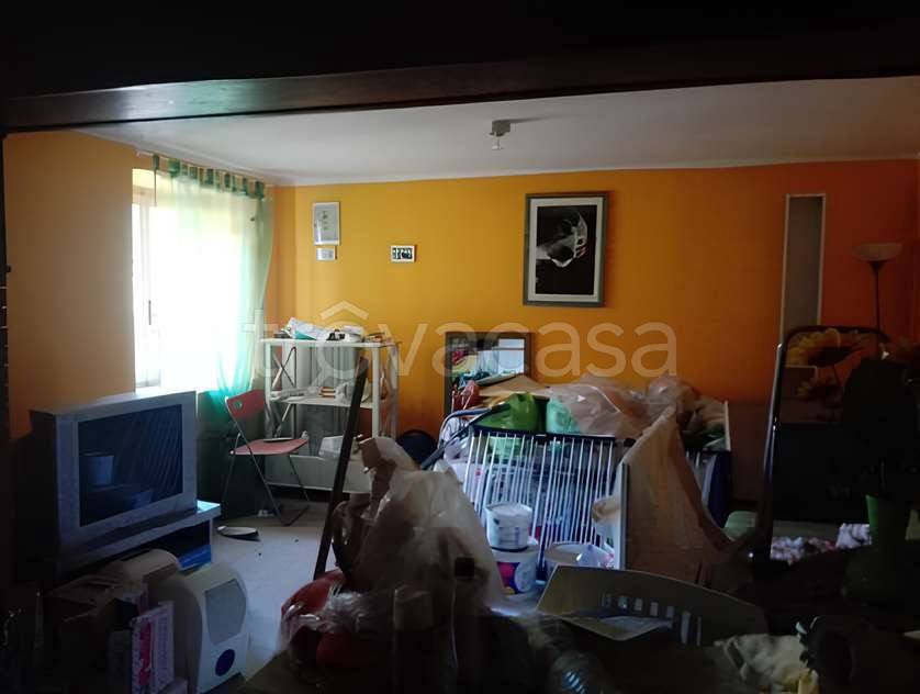immagine annuncio 2 di 12