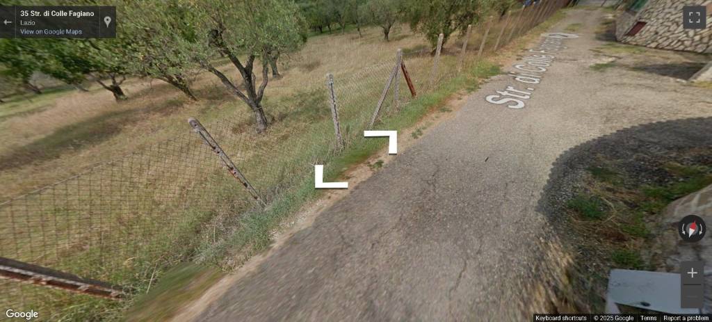 immagine annuncio 12 di 14