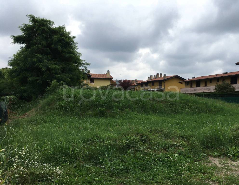 immagine annuncio 4 di 8