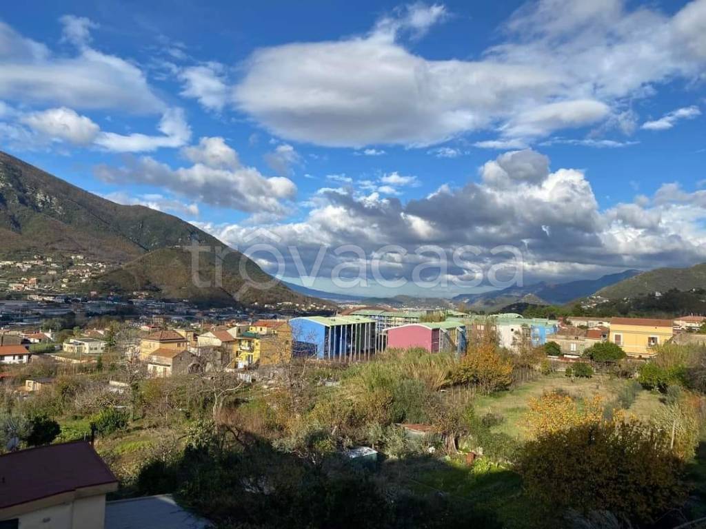 immagine annuncio 5 di 6