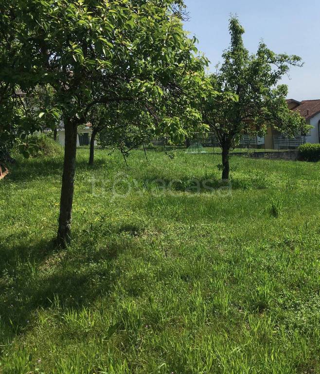 immagine annuncio 10 di 13