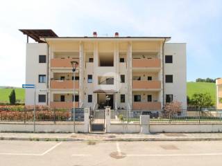 Appartamento in vendita a pineto via socrate, 8