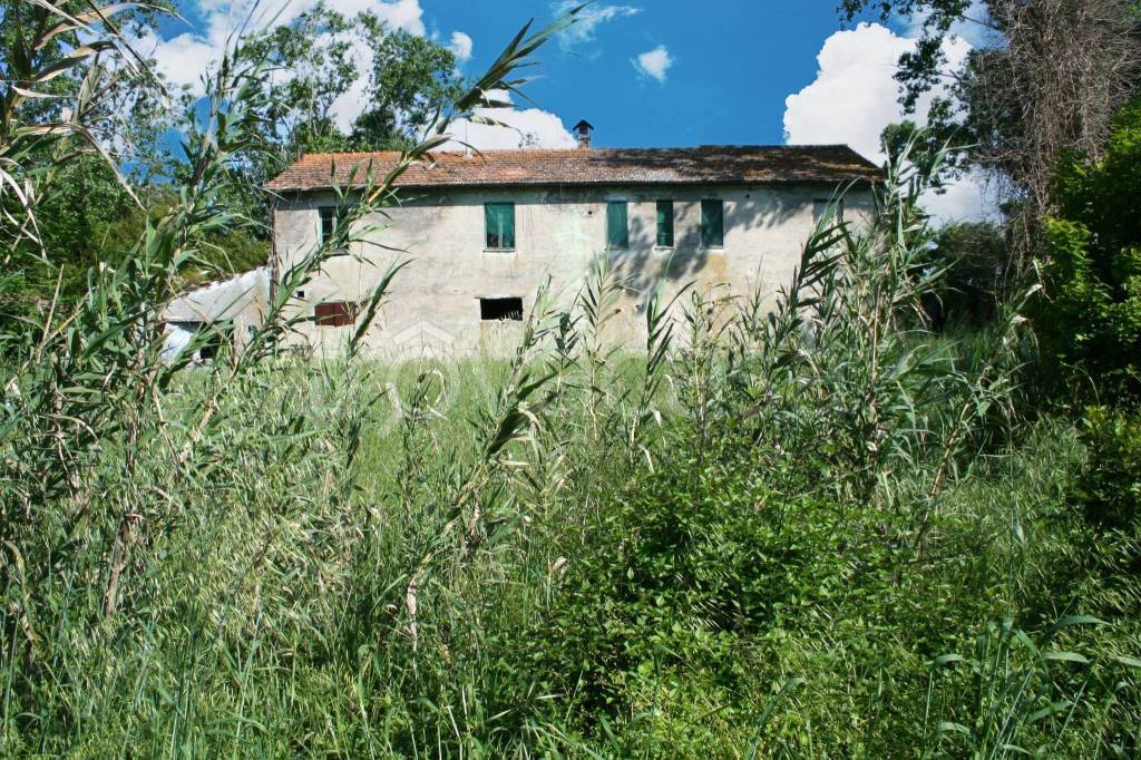 immagine annuncio 4 di 9