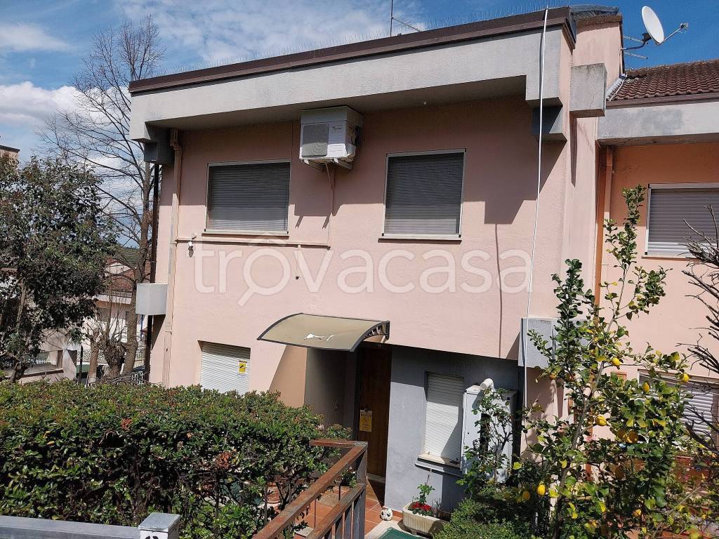 immagine annuncio 2 di 3
