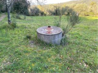 Terreno agricolo in vendita a livorno via delle fattorie