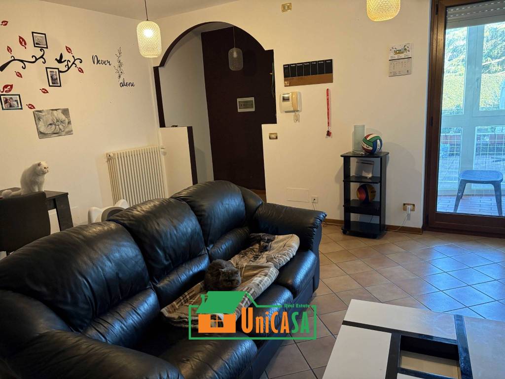 immagine annuncio 2 di 14