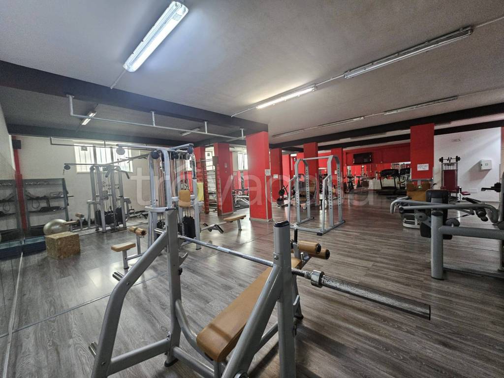 immagine annuncio 10 di 12