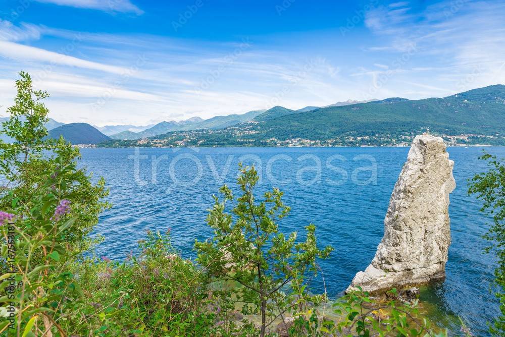 immagine annuncio 5 di 8