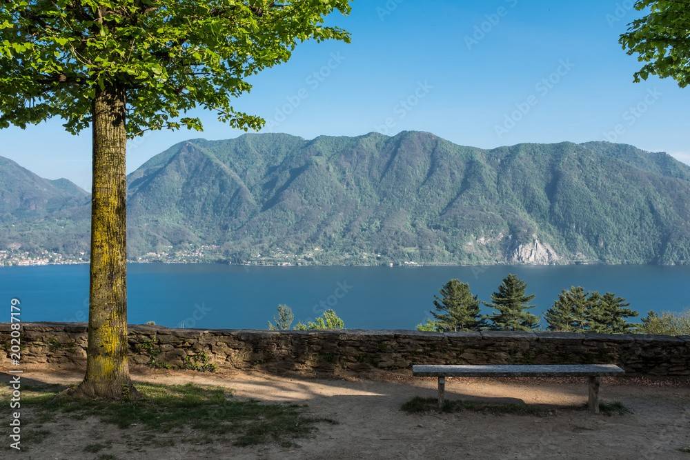 immagine annuncio 4 di 8