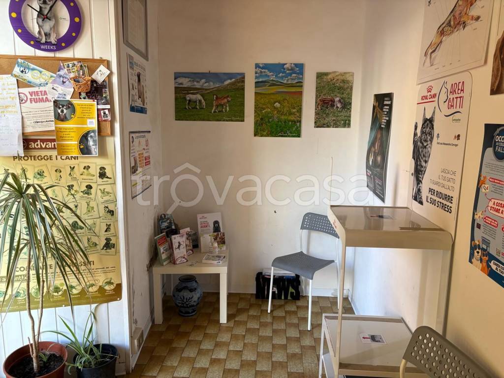 immagine annuncio 6 di 9