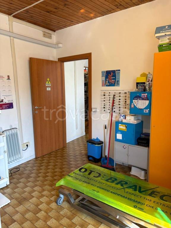 immagine annuncio 7 di 9