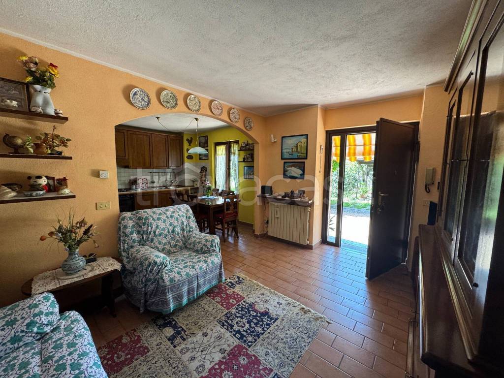 immagine annuncio 9 di 15