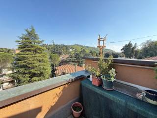 Appartamento in affitto a bologna 