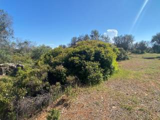Terreno residenziale in vendita a brindisi via brindisi